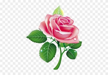 Hello Html M76a08c4c Hello Html M3771efb9 - Painted Rose Buds Png