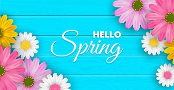 Hello Spring blossom background Free Vector