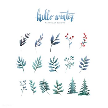 Hello Winter plants and flowers painted by wa.. | Free stock vector - 489400