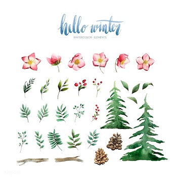 Hello Winter plants and flowers painted by wa.. | Free stock vector - 489421
