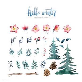 Hello Winter plants and flowers painted by wa.. | Free stock vector - 489535