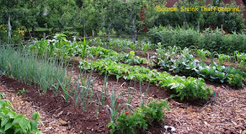 Help spread the word about The Farmer's Garden community.
