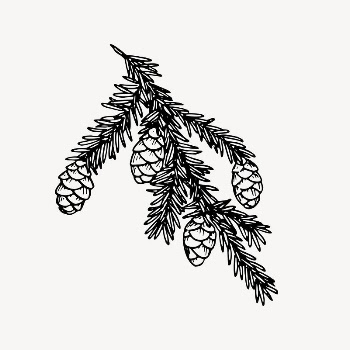 Hemlock drawing, vintage plant illustration | Free Vector Illustration - rawpixel