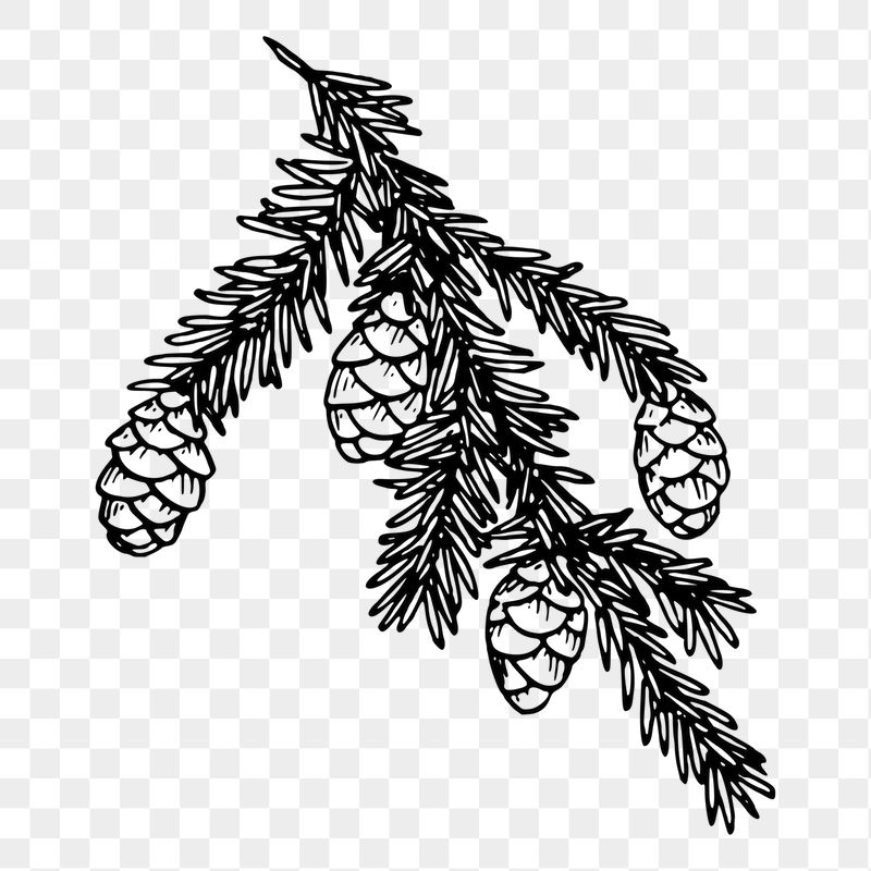 Hemlock png sticker, vintage plant | Free PNG - rawpixel