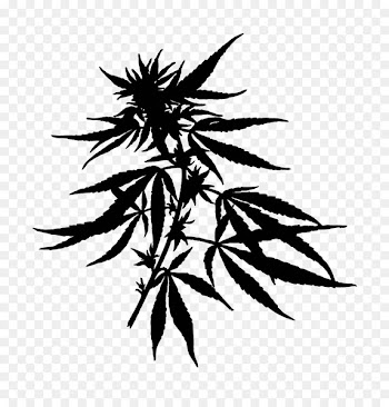 Hemp Cannabidiol Cannabis Biofuel Tetrahydrocannabinol -  