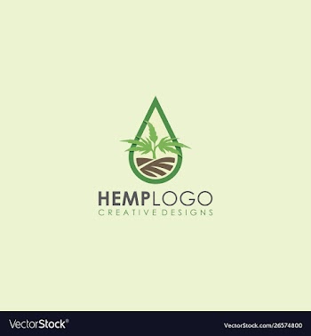Hemp field hemp distillation oil garden cannabis vector image