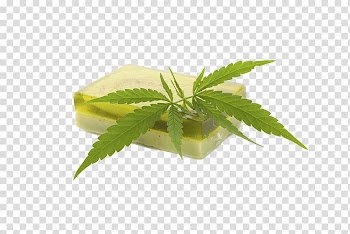 Hemp milk Cosmetics Cannabis Cream, Marijuana leaves and soap transparent background PNG clipart