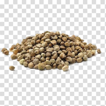 Hemp seeds – JanisFarm
