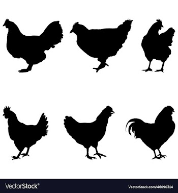 hen chicken silhouette set