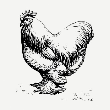 Hen drawing, vintage farm animal | Free PSD - rawpixel