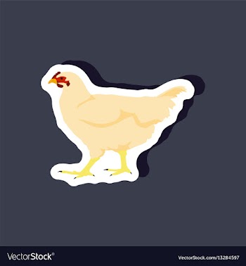 Hen paper sticker on stylish background vector image