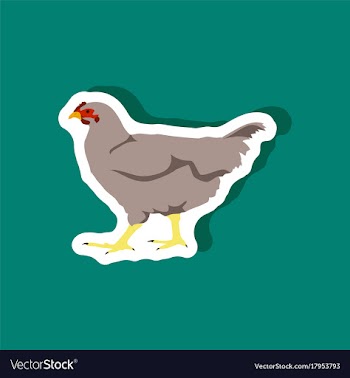 Hen paper sticker on stylish background vector image