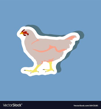 Hen paper sticker on stylish background vector image