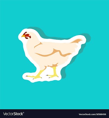Hen paper sticker on stylish background vector image