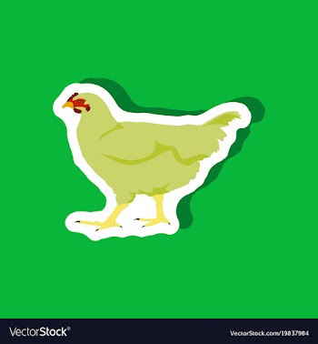 Hen paper sticker on stylish background vector image