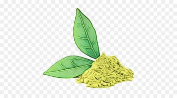 Henna, Beauty Parlour, Hair, Leaf, Plant PNG