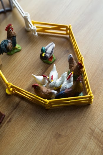 Hens Playset