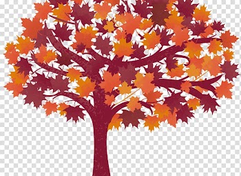 Hepburn Delaney Solicitors Maple leaf Family law, Wills transparent background PNG clipart