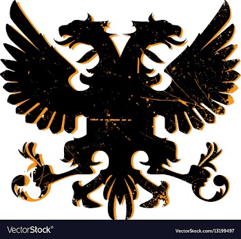 Heraldry shield design vector image