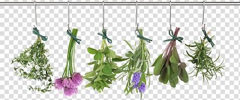 Herb Food drying Vegetable Thyme, vegetable transparent background PNG clipart
