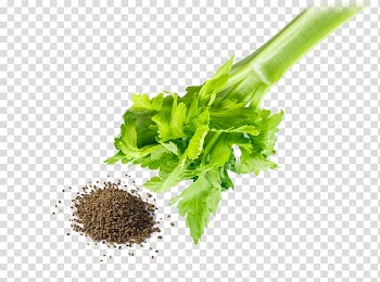 Herb Leaf vegetable , parsley transparent background PNG clipart