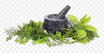 Herb, Lekoviti Bilki, Food, Mortar And Pestle PNG