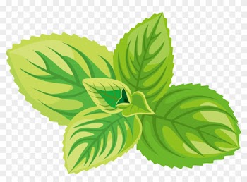 Herb Sticker Label - Fruit Labels On Cosmetics
