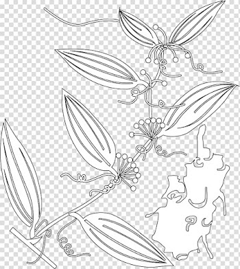 Herb White Traditional Chinese medicine, Black and white herbs transparent background PNG clipart