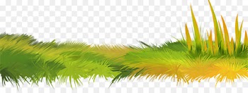 Herbaceous plant Clip art - Green grass 