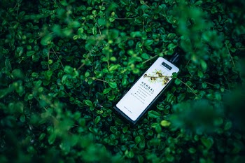 Herbal Shampoo Bottle On Green Vines