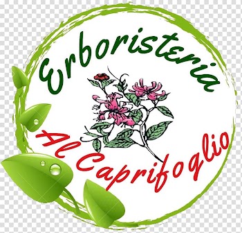 Herbal tea Fruit Herbalism, tea transparent background PNG clipart