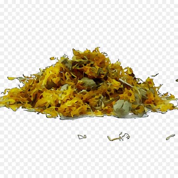 Herbal tea Herbalism Medicine -  