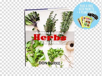 Herbalism Vegetable Plant Tree, vegetable transparent background PNG clipart