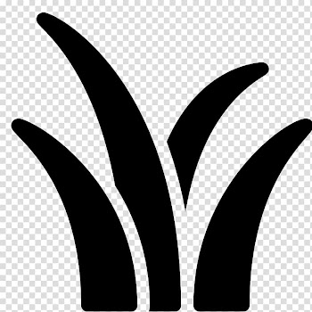 Herbicide Vegetation Oil field Lawn Leaf, fountain grass transparent background PNG clipart