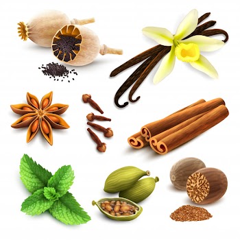 Herbs and spices set Free Vector