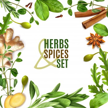 Herbs spices realistic square frame with fresh rosemary thyme rocket spinach leaves cinnamon ginger anise Free Vector