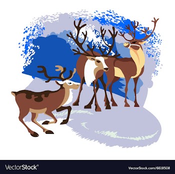 Herd deer vector image
