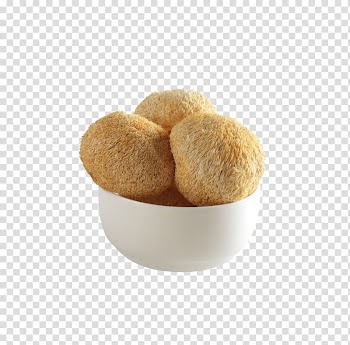 Hericium erinaceus Mushroom Fungus, Health Hericium transparent background PNG clipart