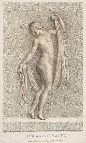 Hermaphrodite by Francesco Bartolozzi  | Free Photo - rawpixel