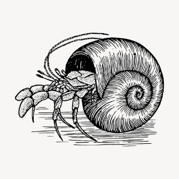 Hermit crab hand drawn clipart, | Free Vector - rawpixel