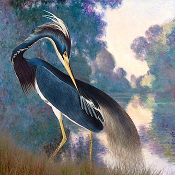 Heron bird background, aesthetic lake | Free Photo Illustration - rawpixel