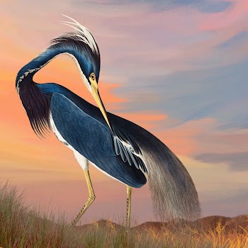 Heron bird background, gradient sky | Free Photo Illustration - rawpixel