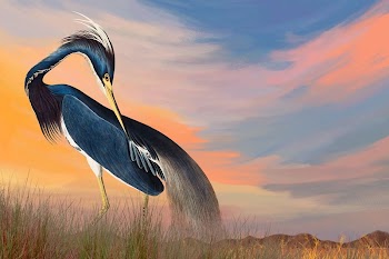 Heron bird background, gradient sky | Free Photo Illustration - rawpixel