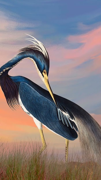 Heron bird iPhone wallpaper, gradient | Free Photo Illustration - rawpixel