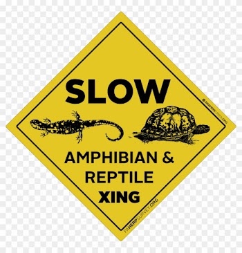 Herpcrossing - Good Girl Gone Bad Sign