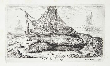 Herring (Halec) | Free Photo - rawpixel