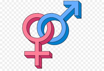 Heterosexuality Gender symbol - gender 
