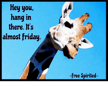 Hey You Hang in There Its Almost Friday -Free Spirited- | Friday ...