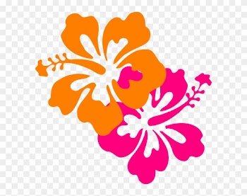 Hibiscus Clip Art At Vector Clip Art - Hawaiian Flower Png