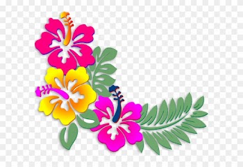 Hibiscus Clipart Coral - Corner Border Design Flower